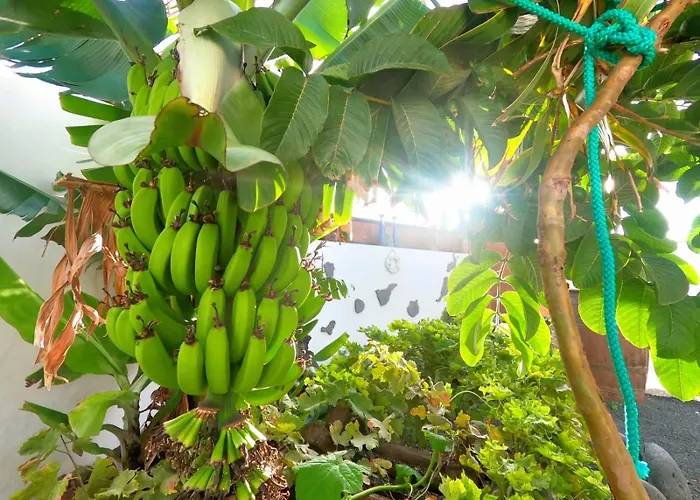 Апартаменты Jardin Del Mar