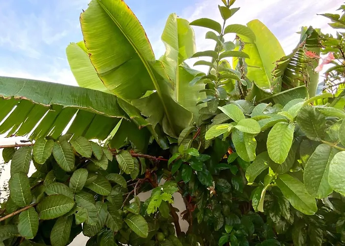 Jardin Del Mar Апартаменты *