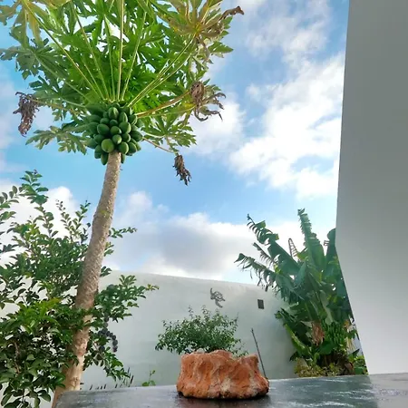 Jardin Del Mar * Tinajo