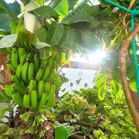 Апартаменты Jardin Del Mar