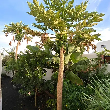 Апартаменты Jardin Del Mar