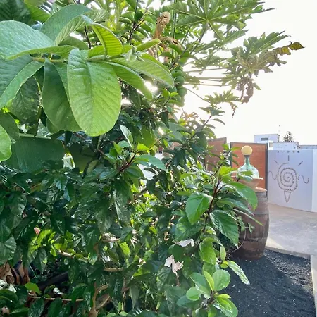 Apartmán Jardin Del Mar Tinajo