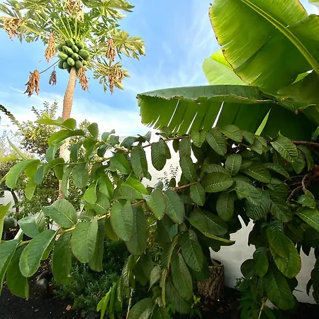 Jardin Del Mar Апартаменты