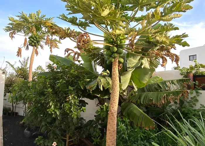 Apartamento Jardín Del Mar