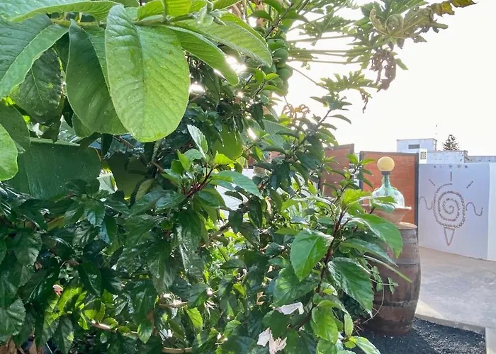 Apartamento Jardín Del Mar Tinajo