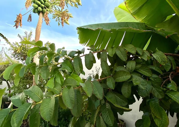 Jardín Del Mar Apartamento